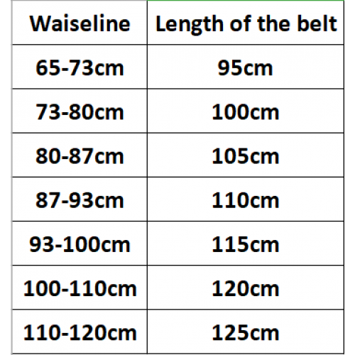 GG MARMONT REVERSIBLE WIDE BELT